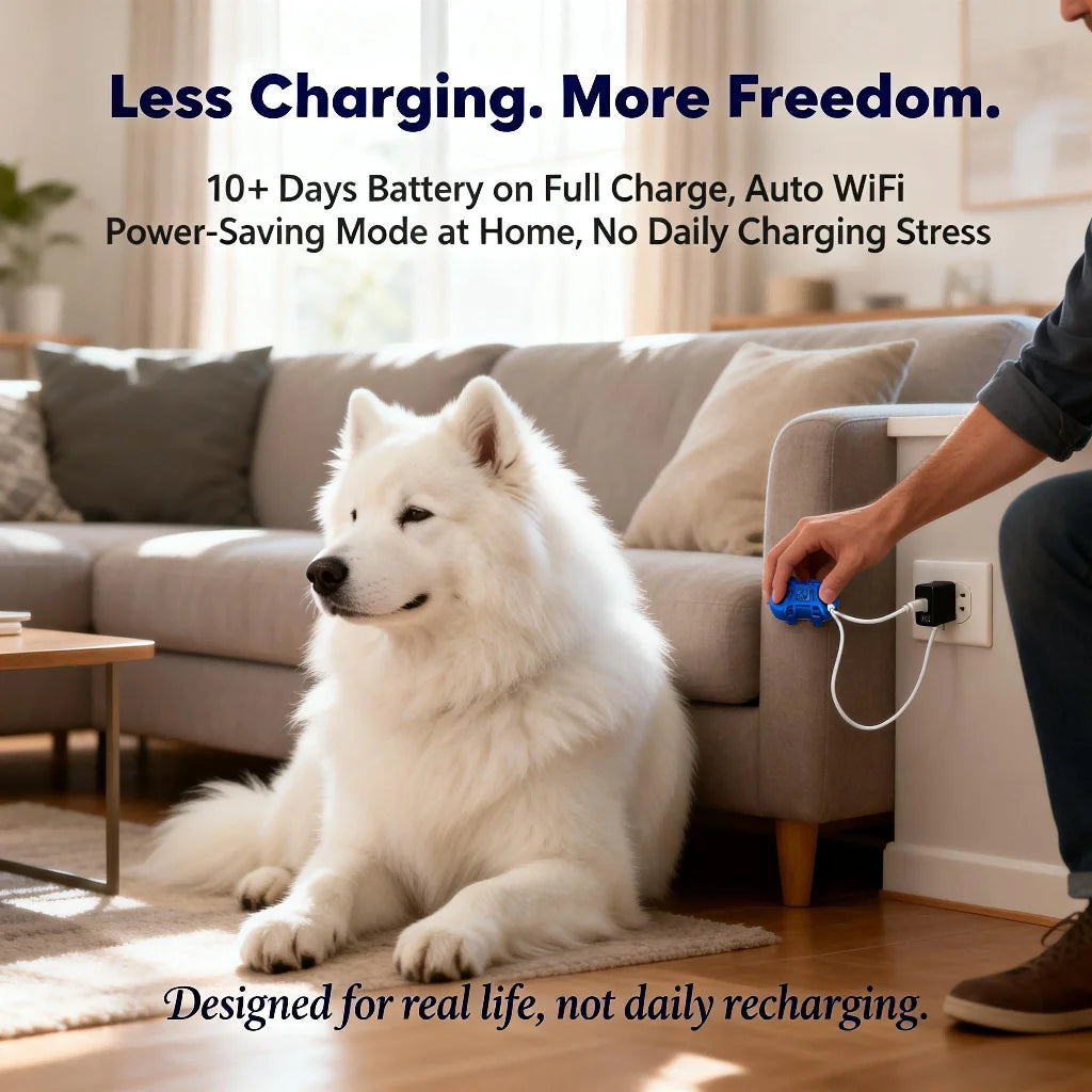 GPS Pet Tracker for Dogs Cats Real Time Tracking Unlimited Distance QR Code Anti-Lost Locator with SIM Subscription Required